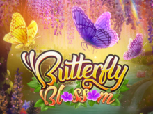 butterfly blossom