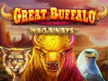 great buffalo megaways